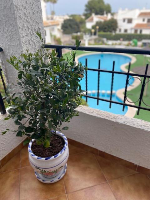 Lobo En Cabo Apartment, Cabo Roig , Orihuela Costa Exterior foto