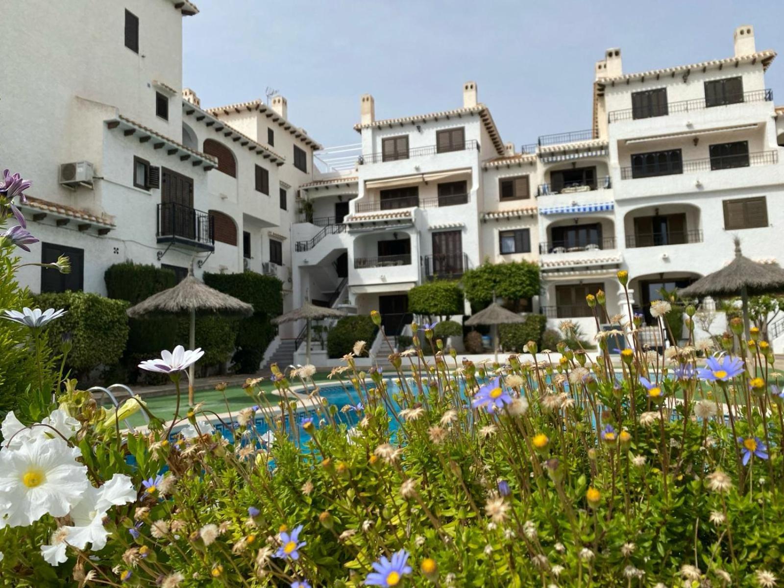 Lobo En Cabo Apartment, Cabo Roig , Orihuela Costa Exterior foto